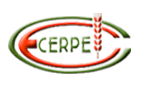 Grupo CERPE